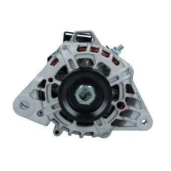Alternateur BV PSH 255.515.070.208