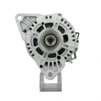 Alternateur BV PSH 255.516.120.000