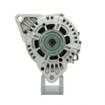 Alternateur BV PSH 255.516.120.415