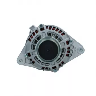 Alternateur BV PSH 255.604.110.008