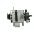 Alternateur BV PSH 255.801.060.120 - Visuel 2