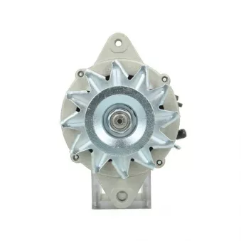 Alternateur BV PSH 255.801.060.415