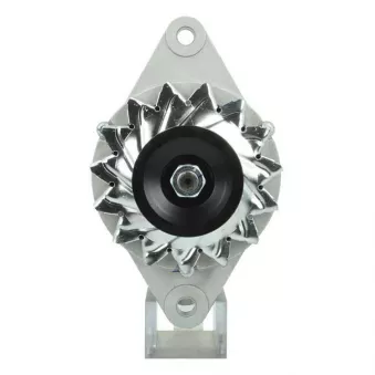 Alternateur BV PSH 266.003.050.140