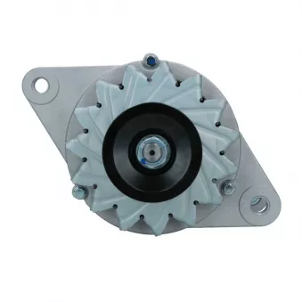 Alternateur BV PSH 266.003.050.148