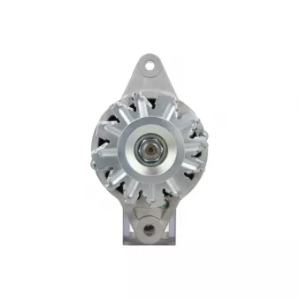 Alternateur BV PSH 266.003.050.370