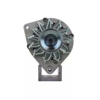 Alternateur BV PSH 305.003.065.311