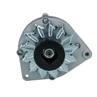 Alternateur BV PSH 305.006.045.018