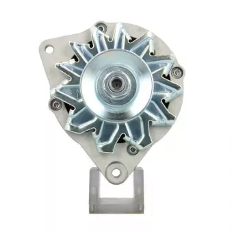 Alternateur BV PSH 305.006.055.311