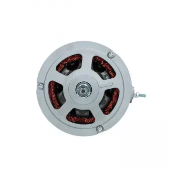 Alternateur BV PSH 305.007.055.018