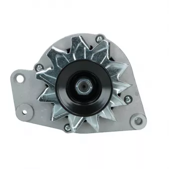 Alternateur BV PSH 305.012.065.018