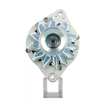 Alternateur BV PSH 305.016.065.311