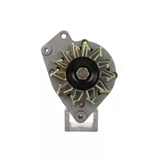 Alternateur BV PSH 305.017.065.310