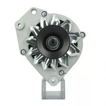 Alternateur BV PSH 305.019.090.010