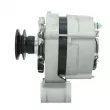 Alternateur BV PSH 305.019.090.010 - Visuel 2