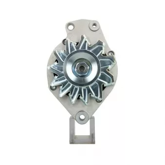 Alternateur BV PSH 305.023.045.312