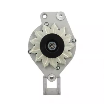 Alternateur BV PSH 305.023.065.010