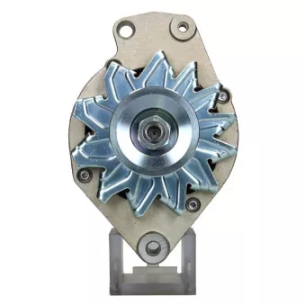 Alternateur BV PSH 305.023.065.311