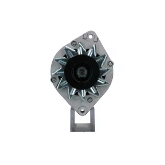 Alternateur BV PSH 305.027.065.018