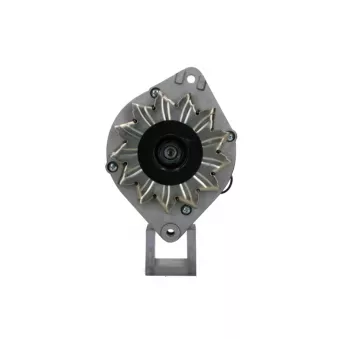 Alternateur BV PSH 305.033.045.018