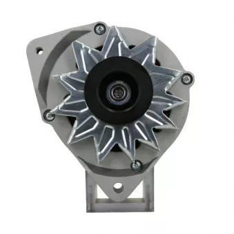 Alternateur BV PSH 305.034.090.010