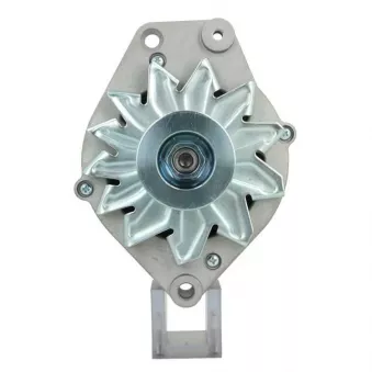 Alternateur BV PSH 305.035.090.010