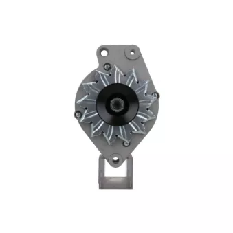 Alternateur BV PSH 305.036.065.010
