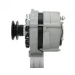 Alternateur BV PSH 305.037.090.010 - Visuel 2