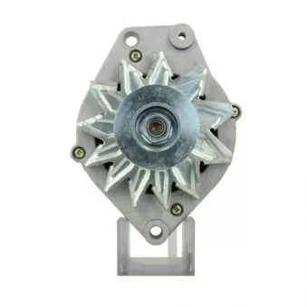 Alternateur BV PSH 305.039.100.010
