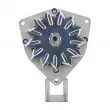 Alternateur BV PSH 305.040.065.010 - Visuel 1
