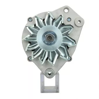 Alternateur BV PSH 305.041.090.010