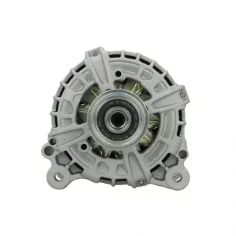 Alternateur BV PSH 305.301.180.014