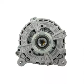 Alternateur BV PSH 305.301.180.210