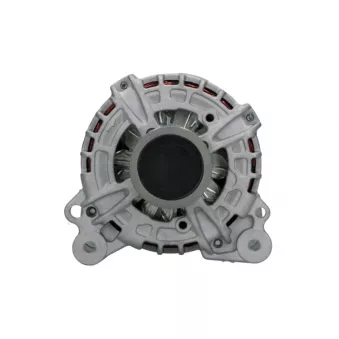 Alternateur BV PSH 305.313.140.010