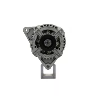 Alternateur BV PSH 305.319.090.010