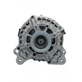 Alternateur BV PSH 305.334.150.500