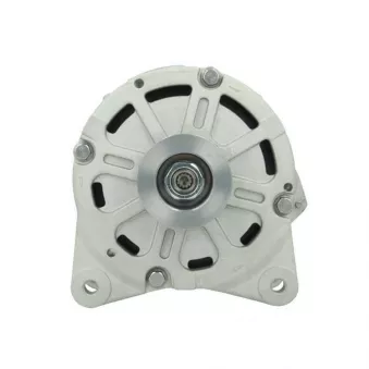 Alternateur BV PSH 305.405.190.080