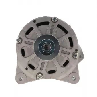 Alternateur BV PSH 305.405.190.088