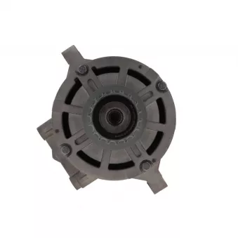 Alternateur BV PSH 305.408.190.088