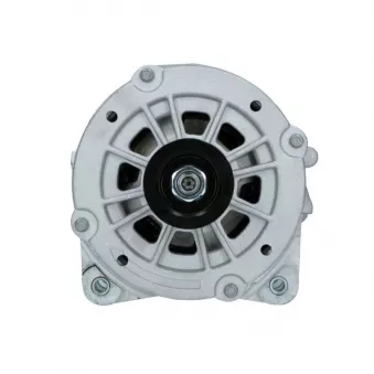 Alternateur BV PSH 305.409.190.048