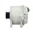 Alternateur BV PSH 305.412.190.080 - Visuel 2