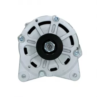 Alternateur BV PSH 305.412.190.088