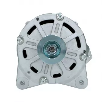 Alternateur BV PSH 305.414.190.088
