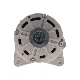 Alternateur BV PSH 305.416.190.088