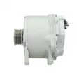 Alternateur BV PSH 305.417.190.080 - Visuel 2