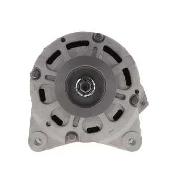Alternateur BV PSH 305.418.190.088