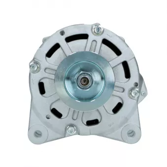 Alternateur BV PSH 305.420.190.088