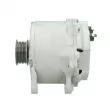 Alternateur BV PSH 305.421.190.080 - Visuel 2