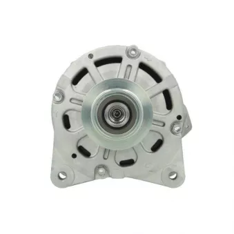 Alternateur BV PSH 305.422.190.272