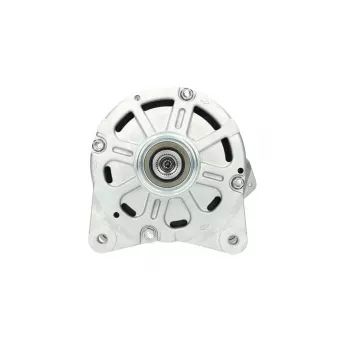 Alternateur BV PSH 305.423.190.270