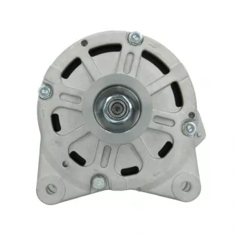 Alternateur BV PSH 305.424.190.080